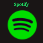 How Much is Spotify per Month?