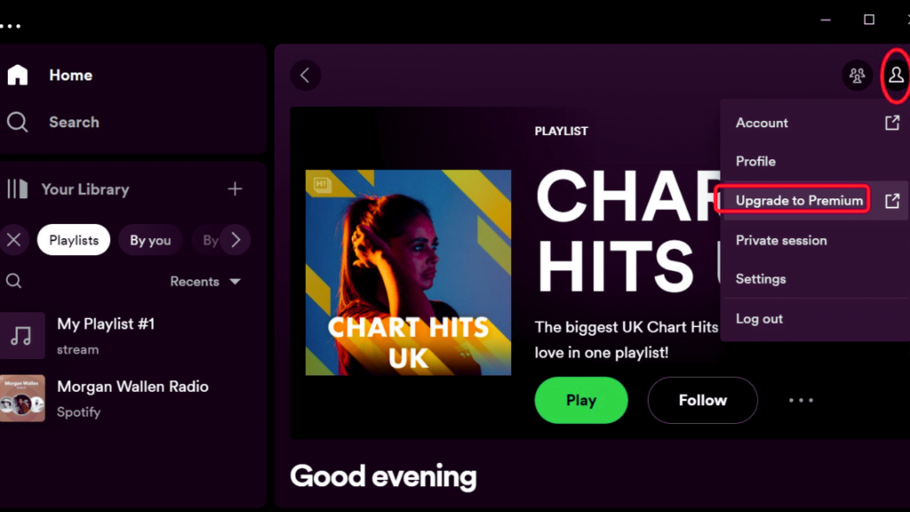 Spotify AI DJ Not Showing Up